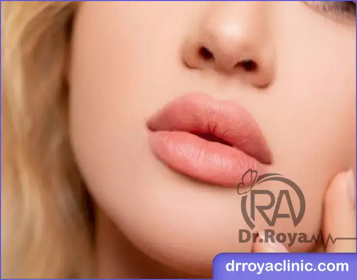 ژل لب مدل قلوه ای